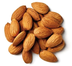 Premium Kenyan Almond Nuts for Sale - Bulk Export Available