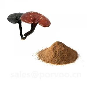 Wholesale Organic Ganoderma Extract, main functions of Ganoderma extract,Reishi mushroom Extract