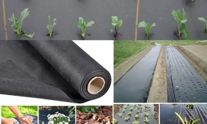 Nonwoven Fabric Used in Agriculture 2022