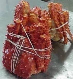 Frozen Red King Crab Legs / Live King Crab / Live Snow Crab Cheap Prices