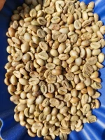 Robusta Coffee ELB