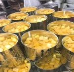 Canned Pineapple A10