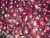 Import Red Onions from Egypt