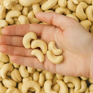 Best Quality Top Grade Organic Cashews Premium Kaju 1kg Export Quality Nuts Wholesale