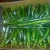 Import fresh f1 chilli from Egypt