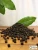 Import Best Black Pepper from Vietnam