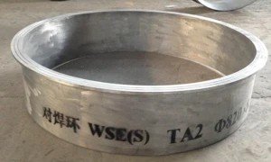 Factory EN 1092, ASTM B366, MSS SP-43 Titanium Welding Neck Collar Titanium Stud End