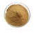 Import Wholesale Organic Ganoderma Extract, main functions of Ganoderma extract,Reishi mushroom Extract from China