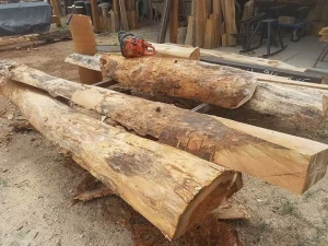 Premium Peeling Logs Bulk Supply High Quality Timber Export Grade Material