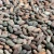 Import Certified Roasted Ariba Cacao Beans Dried Green Weight Origin  Premium Grade from Kenya