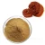 Import Wholesale Organic Ganoderma Extract, main functions of Ganoderma extract,Reishi mushroom Extract from China