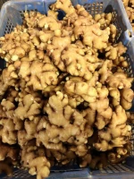 Vietnam ginger export products