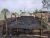 Import Premium Hard Wood Charcoal for Barbecue and Grilling from Indonesia
