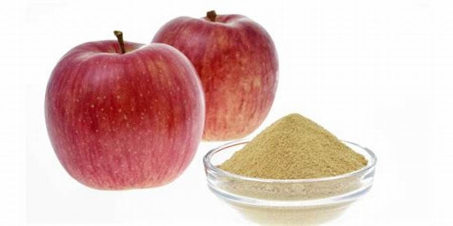 Buy Apple Extract from Dengjia Technology, Netherlands | Tradewheel.com