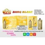 Bang E-Shisha Head 42000 Puffs Peach Ice Premium Disposable Vape Austria Global Wholesale Factory Direct Best Price