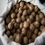 Import Raw Fresh Whole Shell Walnuts Kernels Good Quality Raw Walnut from South Africa