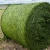 Import Top Quality Premium Alfalfa Hay, Available At Low Price from Ukraine