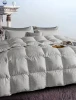 95% waxy cotton imported large goose down winter quilt white