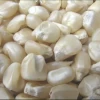 White Maize (NON GMO) for Human Consumption