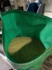 Green Lentils - 50 kg bags