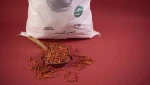 Chilli pepper
