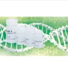 Recombinant Human VEGF 121 (Ala27–Arg147), His Tag, ≥95% Purity, for Angiogenesis & Oncology Research
