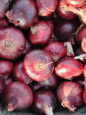 Premium Fresh Egyptian Red Onions - Grade A - Multiple Sizes