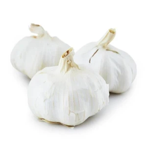 Wholesale Fresh Garlic – High Grade, Export Quality
