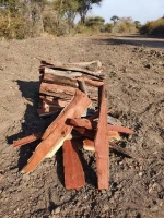 Premium Quality Mixed Acacia Kindling