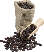 Roasted Robusta Dampit Coffee Bean light/medium/dark