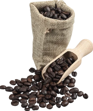 Roasted Robusta Dampit Coffee Bean light/medium/dark