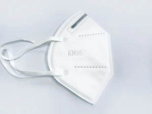 KN95 Masks (10 pcs)