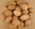 Import Dried Whole Nutmegs for sell from South Africa