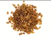 Fresh Sun-Dried Raisins