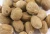 Import Dried Whole Nutmegs for sell from South Africa