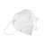 Import Promote KN95 Reusable Masks from China