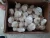 Import New Fresh Garlic from China
