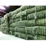 Top Quality Premium Alfalfa Hay, Available At Low Price