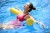 Import Swimming Pool Noodle from China