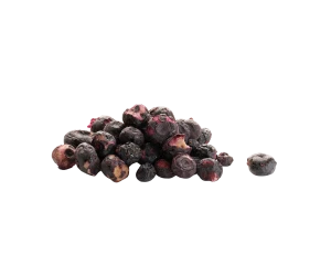 Premium Freeze-Dried Blueberry Powder for Healthy Recipes