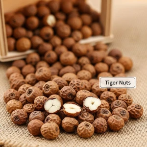 Market Ready Dried Tiger Nut For Bulk Supply Chains Offering Natural Tiger Nut With Smooth Finish