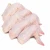 Import Best Exporter HALAL FROZEN CHICKEN / WHOLE CHICKEN in USA from Brazil