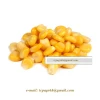 Yellow Maize Corn - YELLOW CORN - from UKRAINE