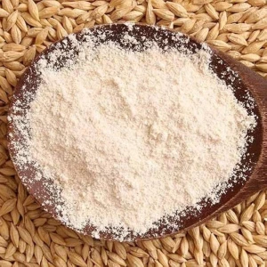 Natural Bulk Barley Flour Fresh Barley Flour Rich In Nutrients Ideal For Wholesale Food Products Supply