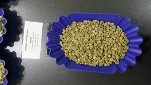 Indonesian Coffee Beans (Lintong Arabica)