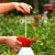 Import 0.8L 1.5L Watering Plants Pot Spray Bottle Garden Mister Sprayer Planting Teapot for Flower Plants Pressure Spray Bottle from China