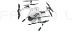 FALCON L