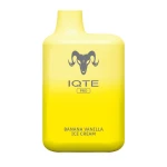 IQTE PRO 2500 Puffs Wholesale Disposable Vape Pen Disposable Vaporizer