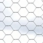 Galvanized Hexagonal Wire Mesh Chicken Wire Mesh for Poultry Farm Chicken Rabbit Coop Fence