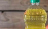 Refined Canola Oil, Pure Canola Edible Oil in Wholesale Price